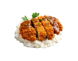 fried rice with chicken