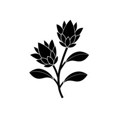 creative details Indian Paintbrush Flower Icon vector illustration 