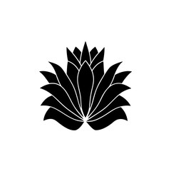 creative details Indian Paintbrush Flower Icon vector illustration 