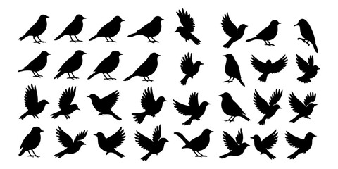 Bird Silhouette Vector Collection