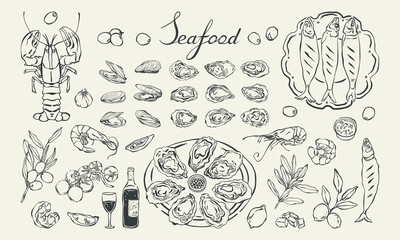 Seafood hand drawn elements and dishes set. Mediterranean Italian seafood vintage vector illustration. Line art oysters, shrimp, mussels, fish, olives, and wine for menu, invitation, poster, card.