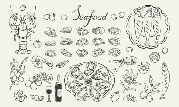 Seafood hand drawn elements and dishes set. Mediterranean Italian seafood vintage vector illustration. Line art oysters, shrimp, mussels, fish, olives, and wine for menu, invitation, poster, card.