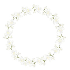 Jasmine white flower watercolor frame. Hand drawn bud delicate. Clip art botanical on white background. Ideal for logo of tea and aromatic products from jasmine