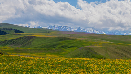 The picturesque high-mountain plateau of Asy in the Almaty region of southeastern Kazakhstan covered with spring flowers