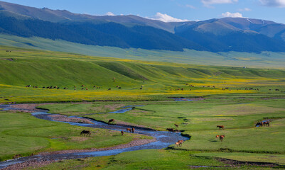 Horses grazing on the picturesque high-mountain plateau of Asy in the Almaty region of southeastern...