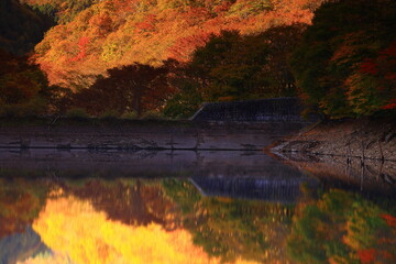 岩手県遠野市　秋の仙人峠