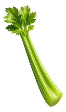 Fresh green celery stalk with leaves, displaying vibrant color and crisp texture on transparent background.