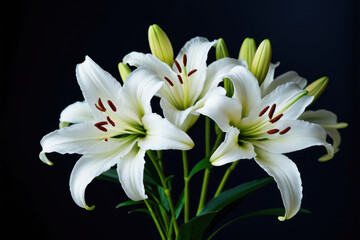 Fototapeta premium A bouquet of white flowers arranged in a decorative vase