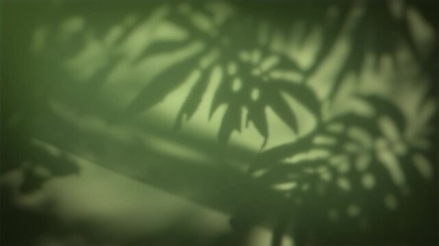 4K Seamless loop of tropical plant shadows on green surface, soft natural light movement, botanical overlay background, organic animation texture, visual design element, subtle motion effect