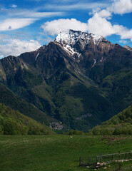 Charming vertical composition of Monte Legnone towering above a lush green pasture, its snow-dusted peak set against a bright blue sky with fluffy clouds. Orobie Alps, Lombardy.