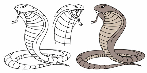 Fototapeta premium snake on a white background