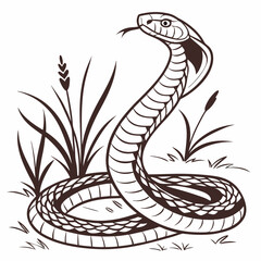 Fototapeta premium snake on a black background