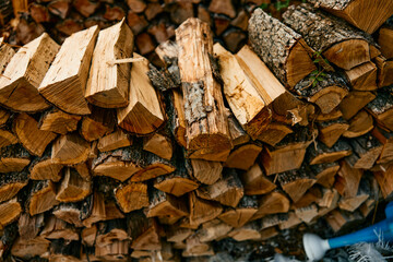 stack of firewood beside blue hose and bucket in outdoor setting