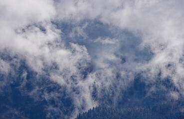 Brume dans les vallées Vosgiennes