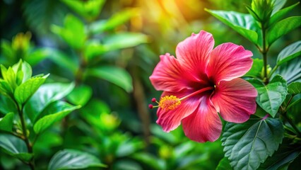 Hibiscus flower in full bloom amidst lush greenery and vibrant tropical foliage