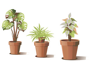 Fototapeta premium Small houseplant with green leaves in a brown pot, perfect for home gardening and growth