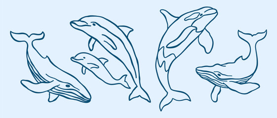 Obraz premium Underwater ocean animals outline vector minimalist retro illustrations set. Whales, killer whale, dolphins doodles