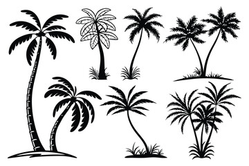 Palm trees silhouettes vector set 