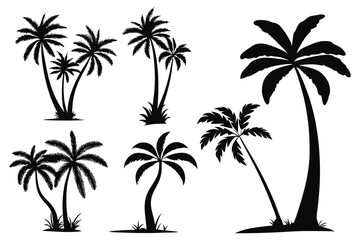 Fototapeta premium palm trees silhouettes vector