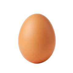 A single brown egg is presented in a centered view, showcasing its smooth shell and oval shape perfectly isolated on transparent background