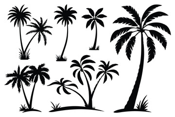 Palm trees silhouettes vector set 