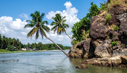Tropical Paradise: Palm Trees Bending Over Serene Waters in Exotic Landscape