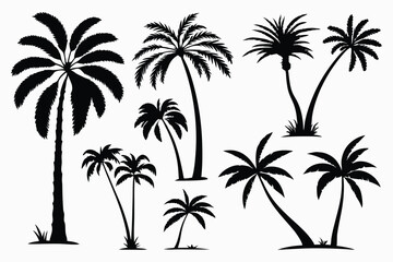 Obraz premium Palm trees silhouettes vector set 