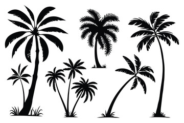 Obraz premium Palm trees silhouettes vector set 