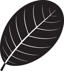 Guava Leaf Natural Illustration in Silhouette Vector Format