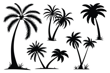 Palm trees silhouettes vector set 