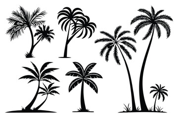 Palm trees silhouettes vector set 