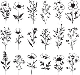 minimal botanical graphic sketch drawing, trendy tiny tattoo design, floral elements vector illustration