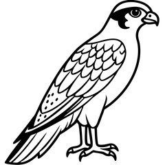 Northern Falcon line art vector