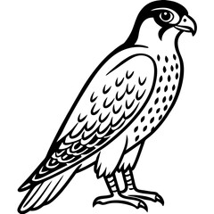 Northern Falcon line art vector