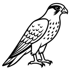 Northern Falcon line art vector