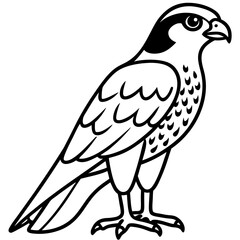 Northern Falcon line art vector