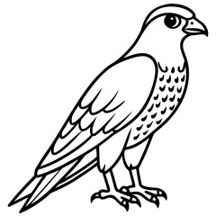 Northern Falcon line art vector