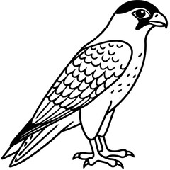 Northern Falcon line art vector