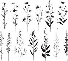 minimal botanical graphic sketch drawing, trendy tiny tattoo design, floral elements vector illustration