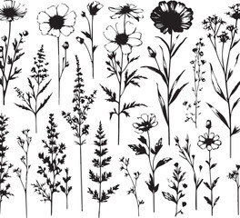 minimal botanical graphic sketch drawing, trendy tiny tattoo design, floral elements vector illustration