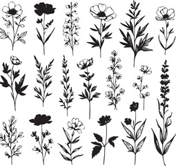 minimal botanical graphic sketch drawing, trendy tiny tattoo design, floral elements vector illustration