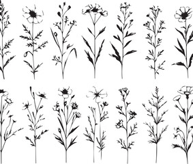 minimal botanical graphic sketch drawing, trendy tiny tattoo design, floral elements vector illustration