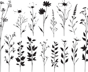 minimal botanical graphic sketch drawing, trendy tiny tattoo design, floral elements vector illustration