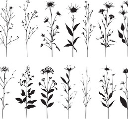 minimal botanical graphic sketch drawing, trendy tiny tattoo design, floral elements vector illustration