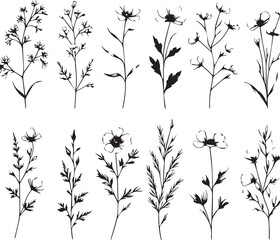 minimal botanical graphic sketch drawing, trendy tiny tattoo design, floral elements vector illustration