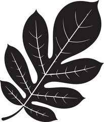 Walnut Leaf Silhouette Vector | Black Vector Art Illustration