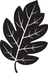 Walnut Leaf Silhouette Vector | Black Vector Art Illustration