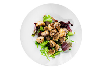 Mushrooms pickled champignon salad snack fresh delicious gourmet food background on the table...