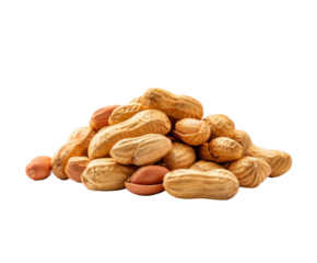 Healthy snack of roasted peanuts in shell for nutrition, cut out transparent