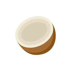 Vector illustration of an coconut fruit on a white background. Fruit icon with flat style